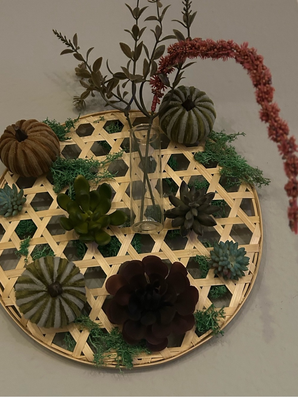 Decorative Woven Wall Tray with Green and Brown Succulents